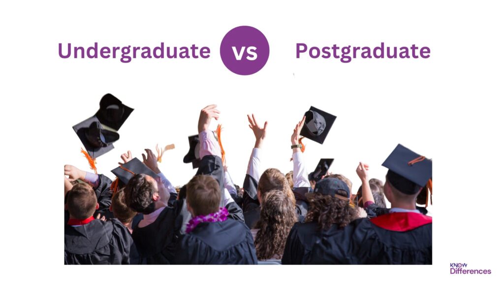 Undergraduate and Postgraduate