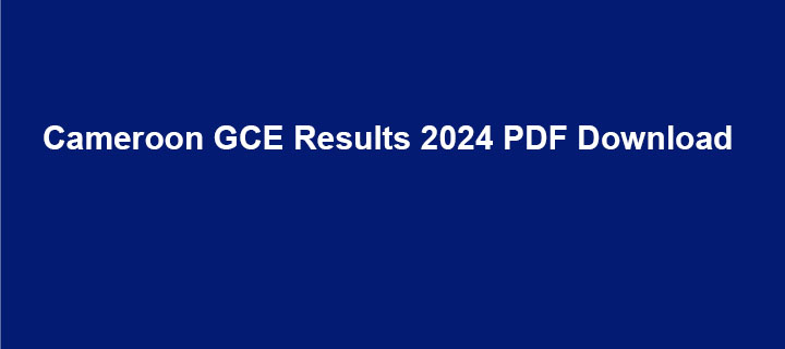 GCE A' Level Results 2024